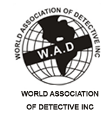 Best Love Affair Detective Agency in Delhi and India